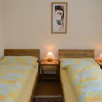 Haus Orta Apartment