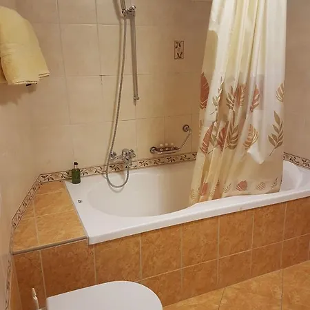 Apartment Haus Orta *