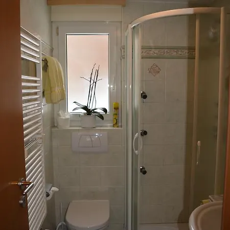 Haus Orta Apartment *