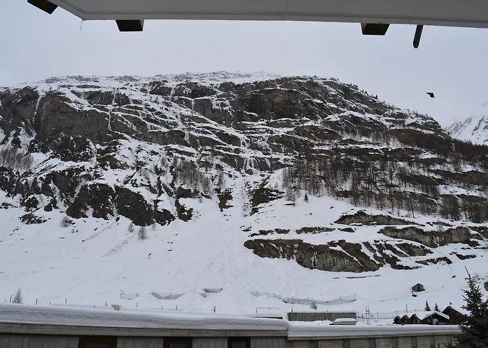 奥尔塔豪斯酒店 采尔马特